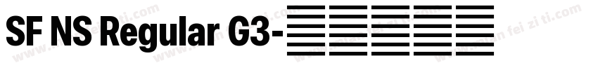 SF NS Regular G3字体转换